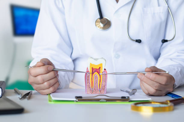 Best Same-Day Emergency Dentist in Trappe, MD
